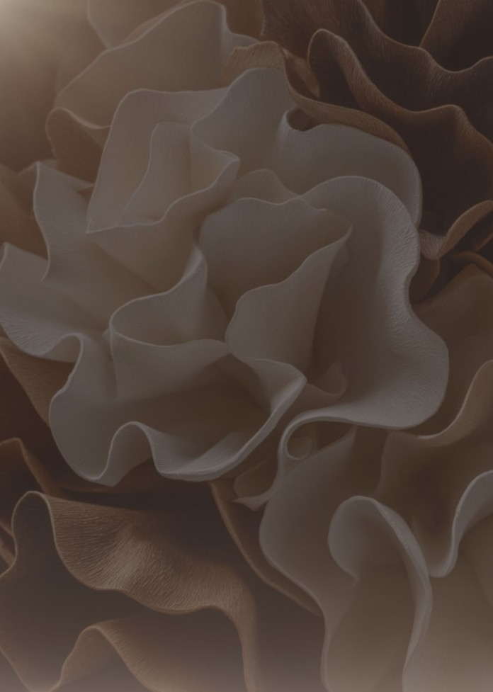 Fine filaments and organic structures suggesting subtle interpretive systems